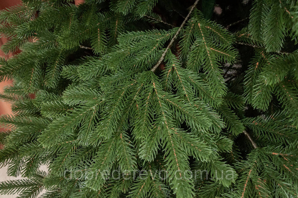 Ялинка лита Еліт, Штучна ялинка лита,  250 см. Вижниця - фото 5