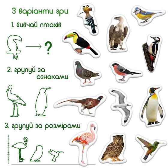 Дитячий набір магнітів Птахи фото Magdum ML4031-30 EN Вінниця