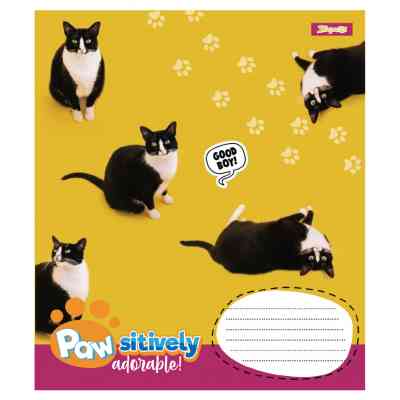 Зошит 1 вересня Pawsitively А5 24 аркушів лінія (768241) Вінниця