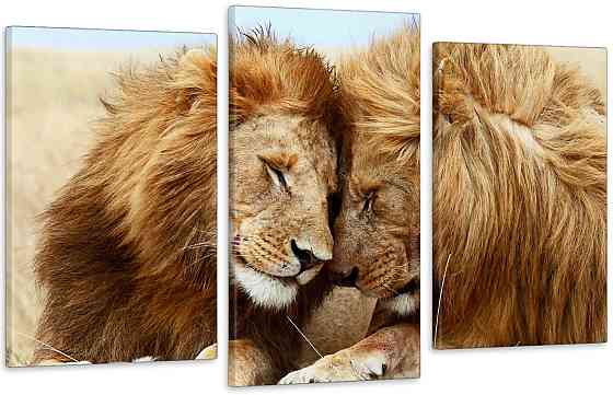 Модульна картина у вітальню/ спальню Закохані Леви   Art-565_3 100x150 см Київ