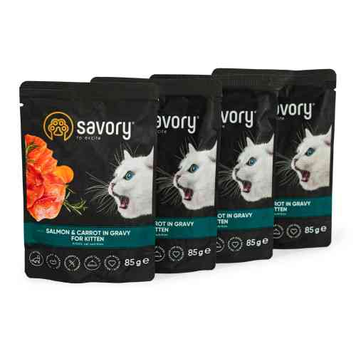 Набір паучів Savory Kitten, with Salmon and Carrot in Gravy 3+1 Київ
