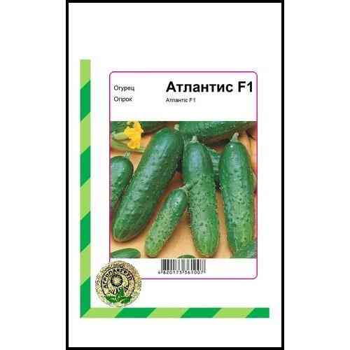 Семена огурца Атлантис F1 20 сем., Bejo Zaden, Голландия Винница