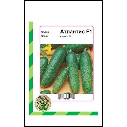 Семена огурца Атлантис F1 20 сем., Bejo Zaden, Голландия Винница - изображение 1