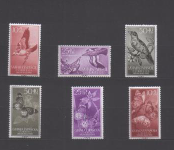 Испанская Сахара. Птицы + бабочки Полтава - изображение 1