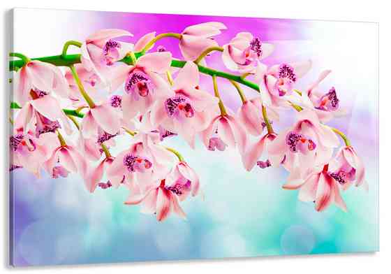 Картина холст в гостиную / спальню   Орхідея  MLP_118 Киев