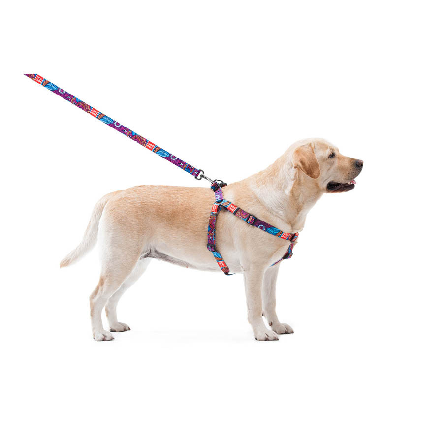 Повідець для собак нейлоновий WAUDOG Nylon, малюнок "Літо" , Ш 20 мм, Дов 122 см Коломия - фото 3