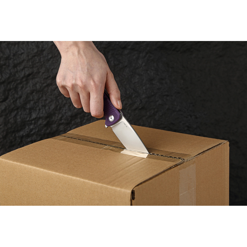 Ніж складаний Ganzo G769-PL Киев - изображение 15