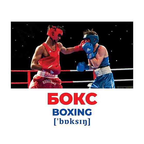 Набір розвиваючих карток Геній з пелюшок Види спорту 10107204, 17 карток Вінниця