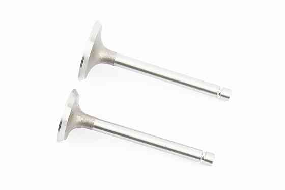 Клапан впускний (h-93; D-40; d-7,95), випускний (h-93; D-34; d-7,95) к-кт GZ195 Киев