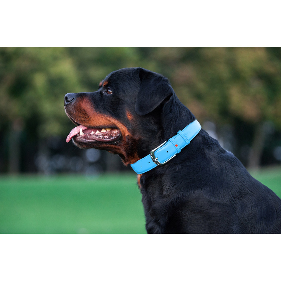 Нашийник для собак шкіряний WAUDOG Glamour з QR паспортом, без прикрас, L, Ш 25 мм, Дов 38-49 с Коломыя - изображение 4