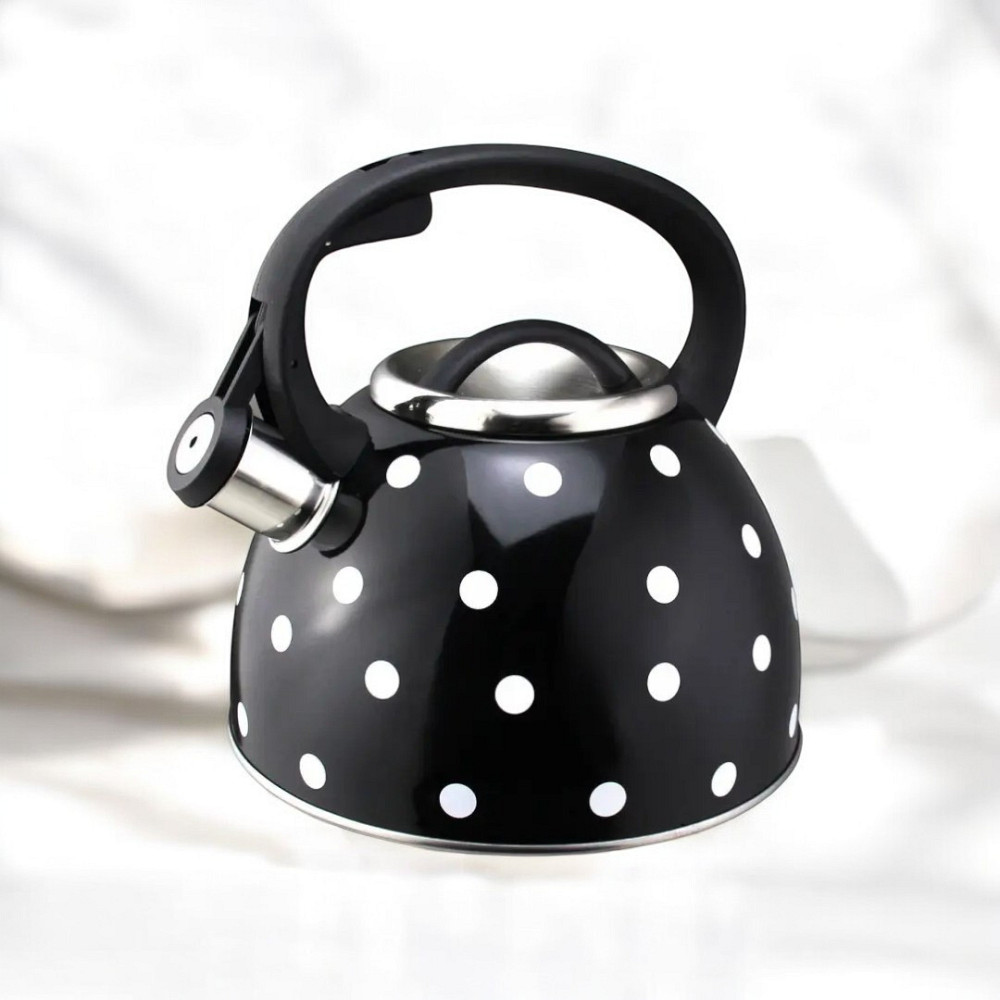 Чайник со свистком UNIQUE UN-5301 2.50 л Одесса - изображение 1