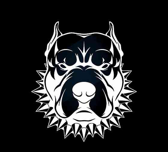 Вінілова наклейка на авто та будь яку поверхню в індивідуальних розмірах Чернівці