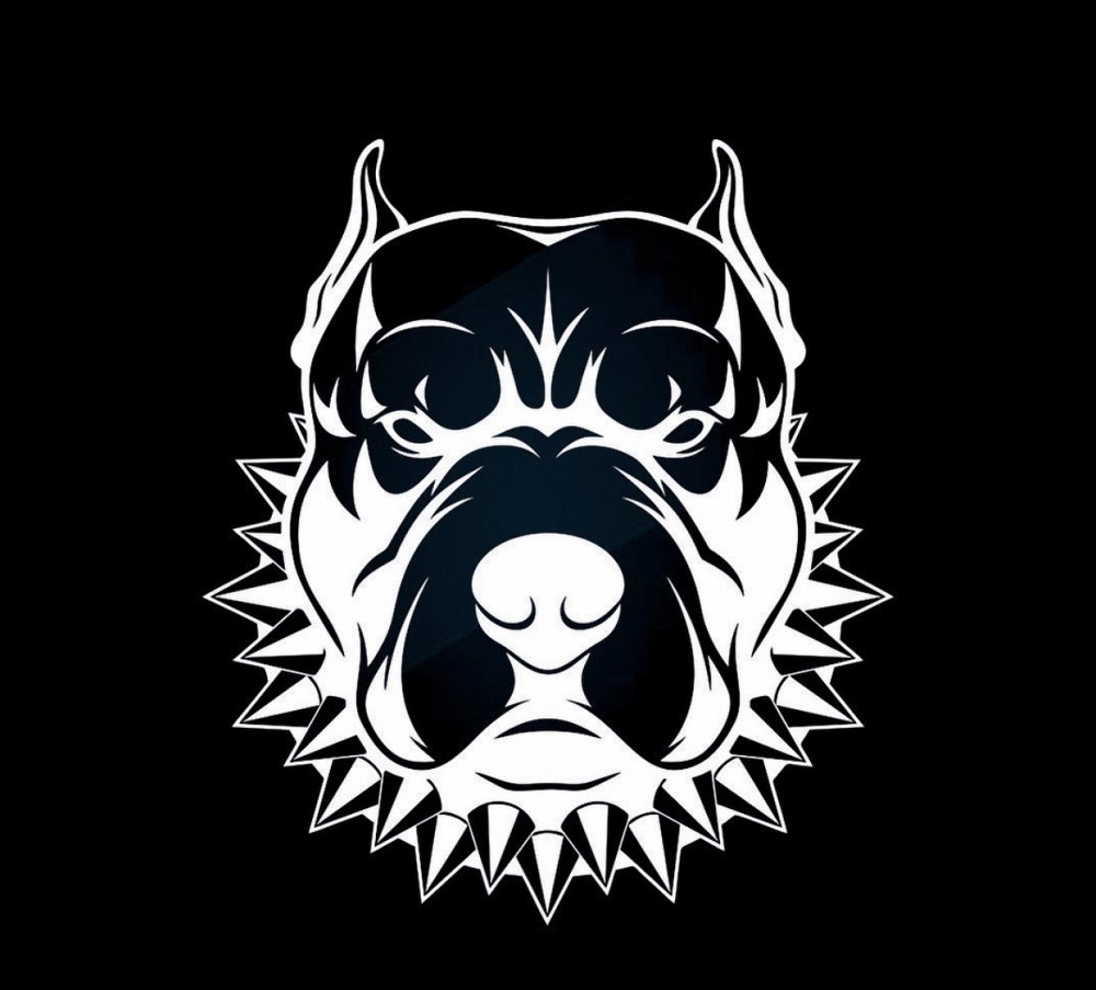 Вінілова наклейка на авто та будь яку поверхню в індивідуальних розмірах Чернівці - фото 1