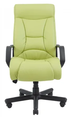 Офісне Крісло Керівника Richman Magistr Fly 2236 Wood М2 AnyFix Зелений Київ