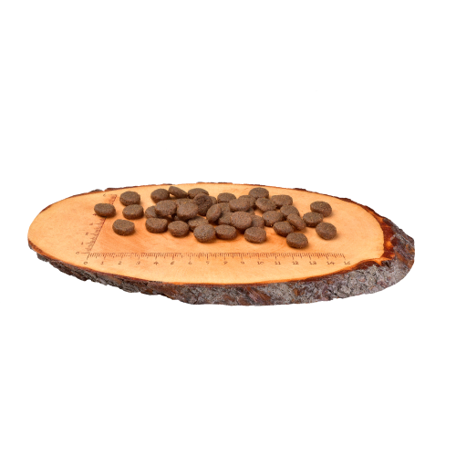 Корм сухий Carnilove Puppy Large Breed Salmon and Turkey для цуценят великих порід з лососем та індичкою 12 кг Київ