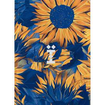 Книга записная Axent UA Ї А5 клетка твердая обложка 96 листов (8455-3-A) Винница