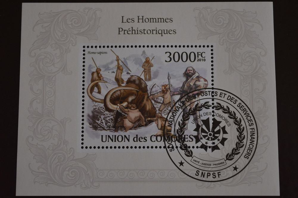 Комори. Фауна. Марки. Блок. 2010 рік (Т) Полтава - фото 1