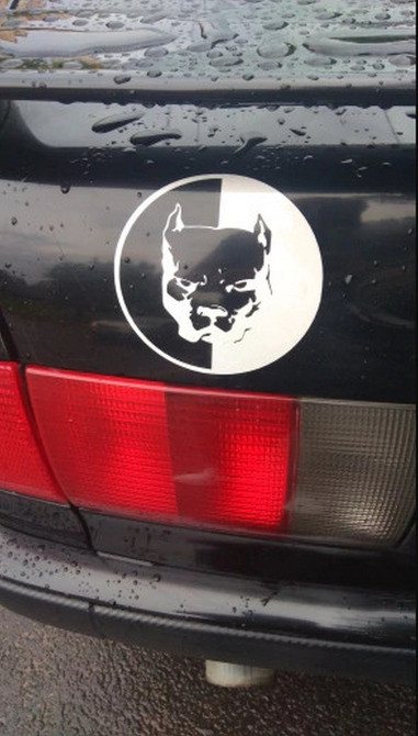 Наклейка на авто Пітбуль Велика Біла світловідбивка Київ - фото 4