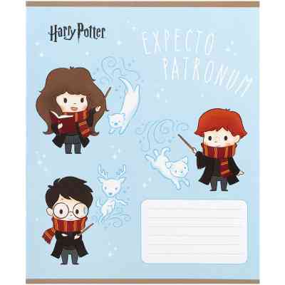 Тетрадь Kite Harry Potter, 12 листов, косая линия (HP25-235) Винница