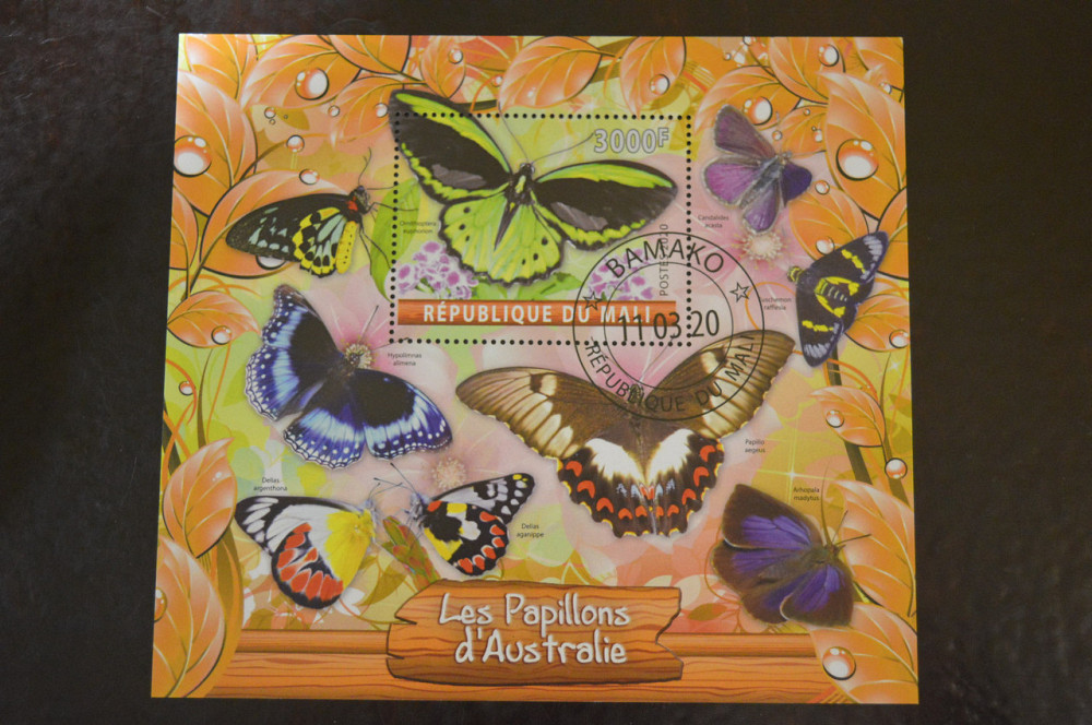 Малі. Марки. Фауна. Блок. 2020 рік (В-4) Полтава - фото 1