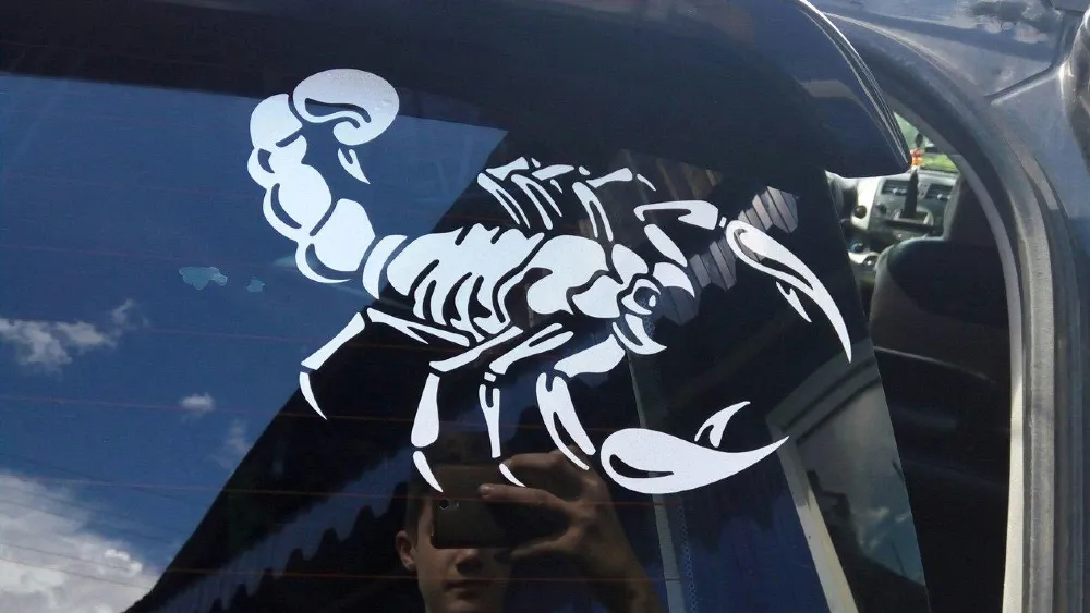 Наклейка на авто Скорпион 2 шт Киев - изображение 4