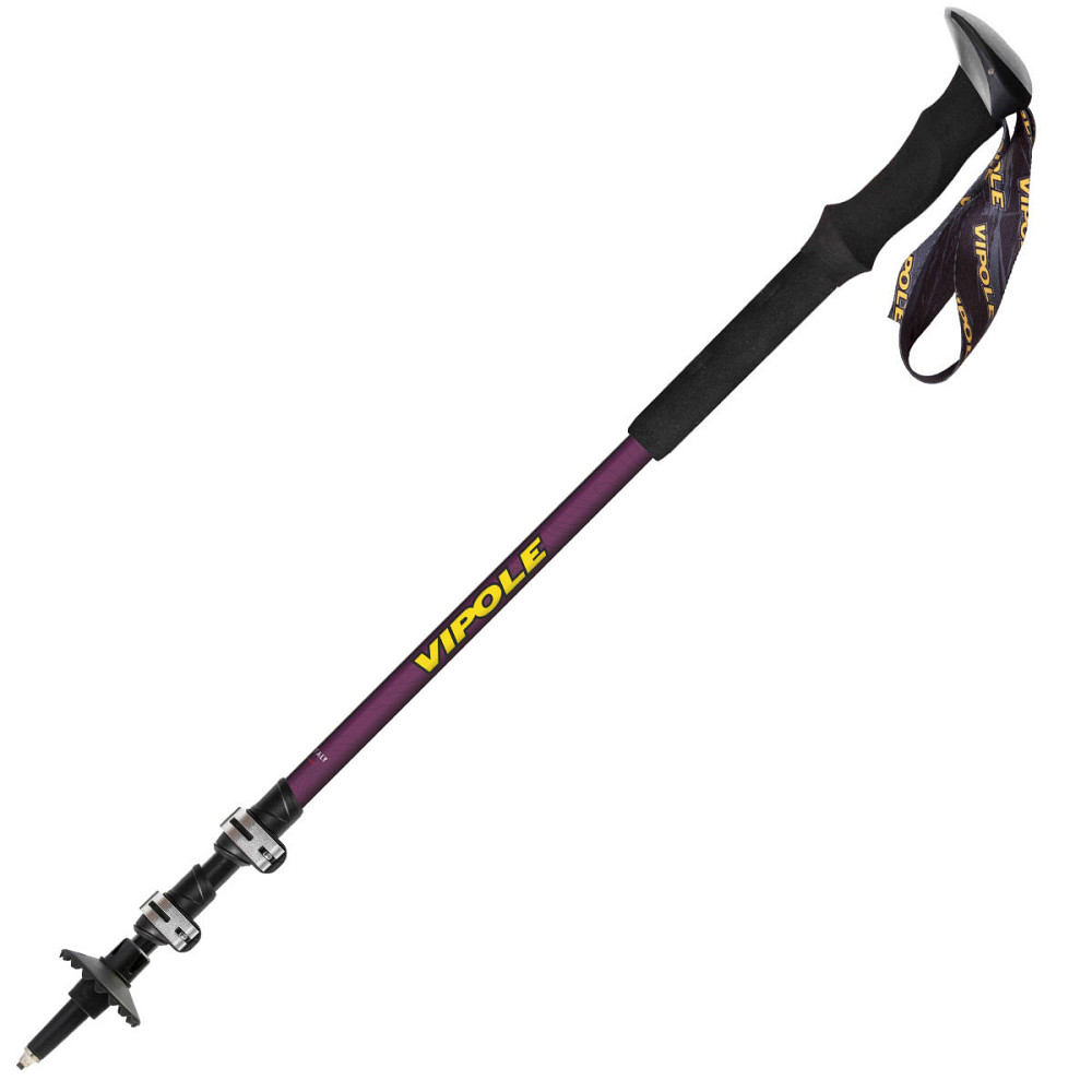Палки трекинговые Vipole Base Camp Violet DLX (S25 08) Вінниця - фото 2