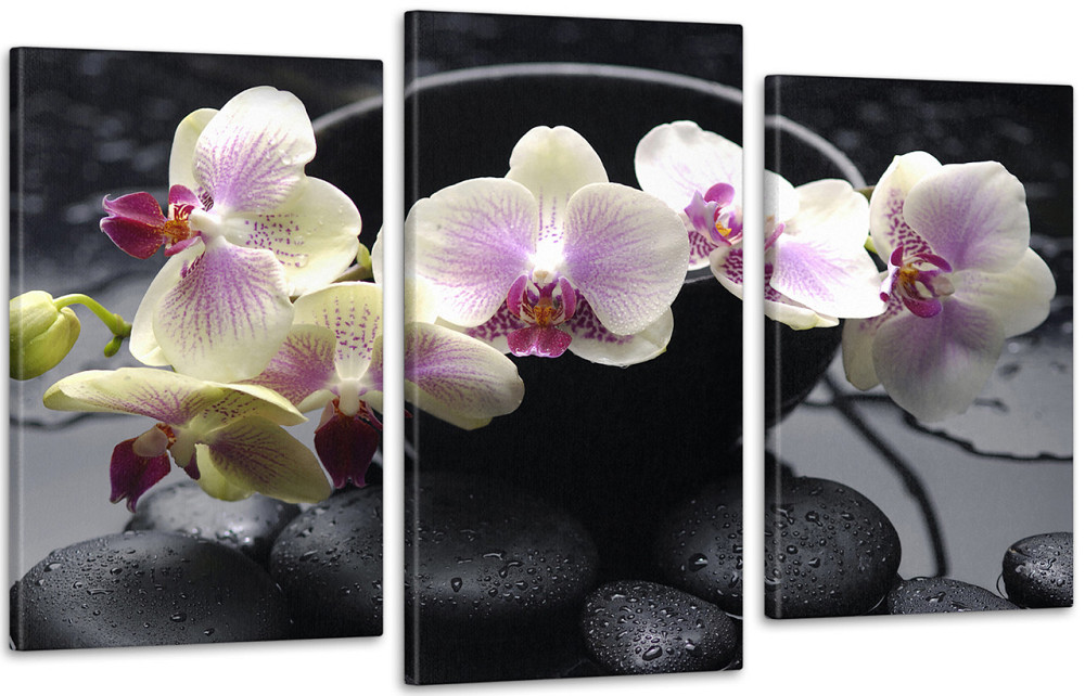 Модульна картина Коліри Орхідея Art-100_3 70x130 см Київ - фото 1
