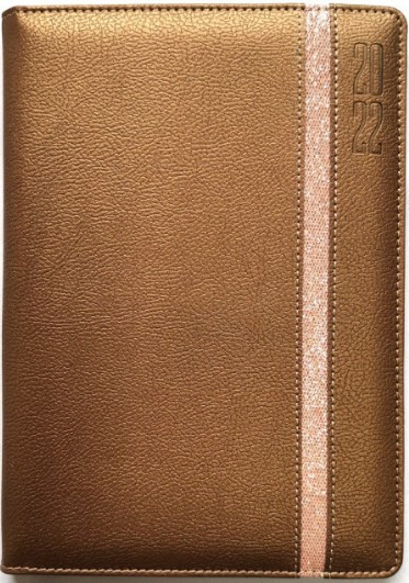 Щоденник датований 2022 