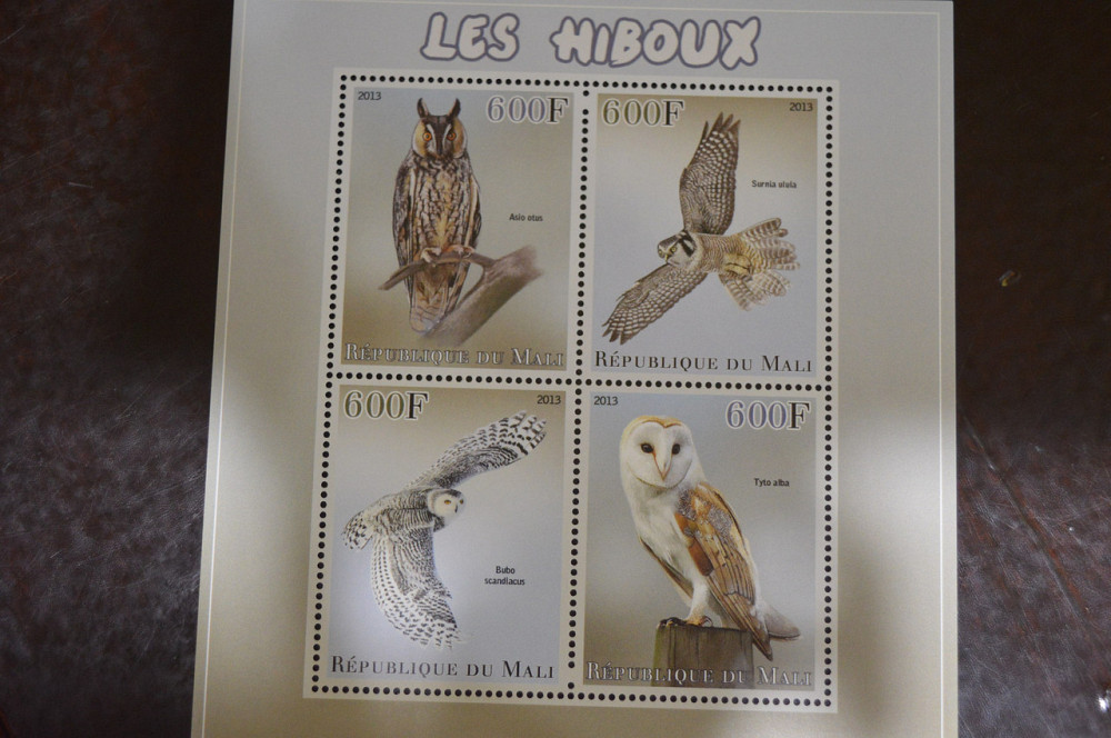 Мали. Марки. Фауна. Блок. 2013 год (В-3) Полтава - изображение 1