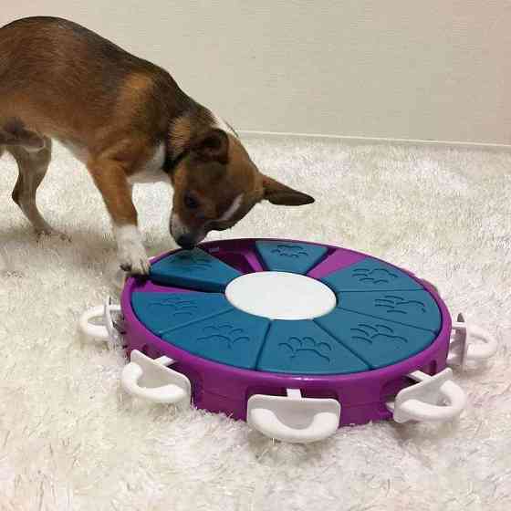 Интерактивная игрушка Твистер головоломка для лакомств для собак Nina Ottosson Dog Twister (Нина Оттоссон) Запорожье