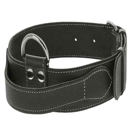 Нашийник 6395 40мм "Класик преміум" шкіряний з ручкою для безпеки (Синій) Вінниця