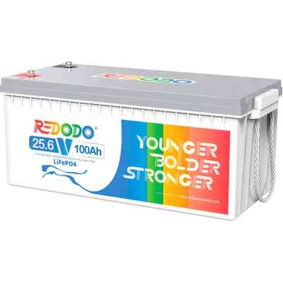 Батарея LiFePo4 Redodo 24V-100Ah (Redodo-24V100Ah) Винница