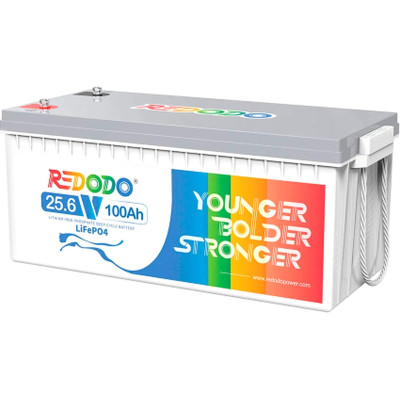 Батарея LiFePo4 Redodo 24V-100Ah (Redodo-24V100Ah) Винница - изображение 1