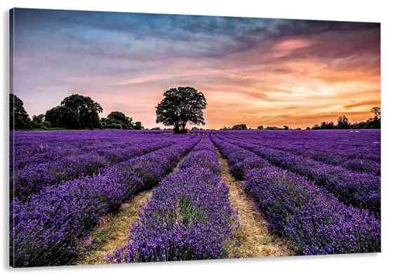 Картина холст в гостиную / спальню Лаванда  MLP_86 80х160см Киев