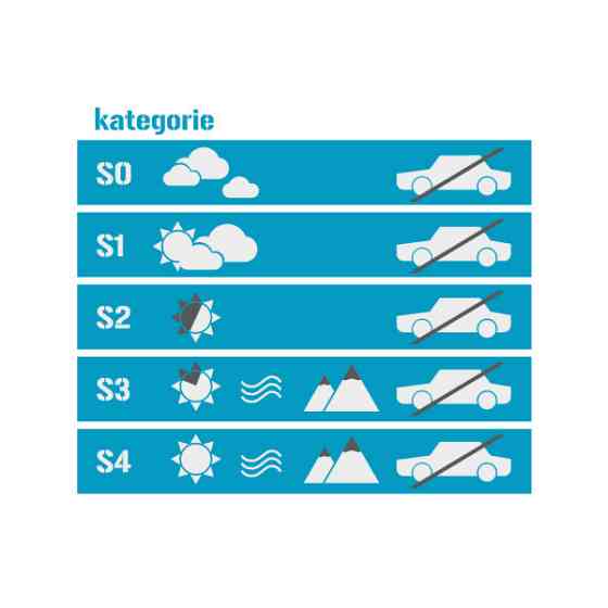 Лижні окуляри WORKER Cooper with Graphic Print - Coloured Graphic Київ