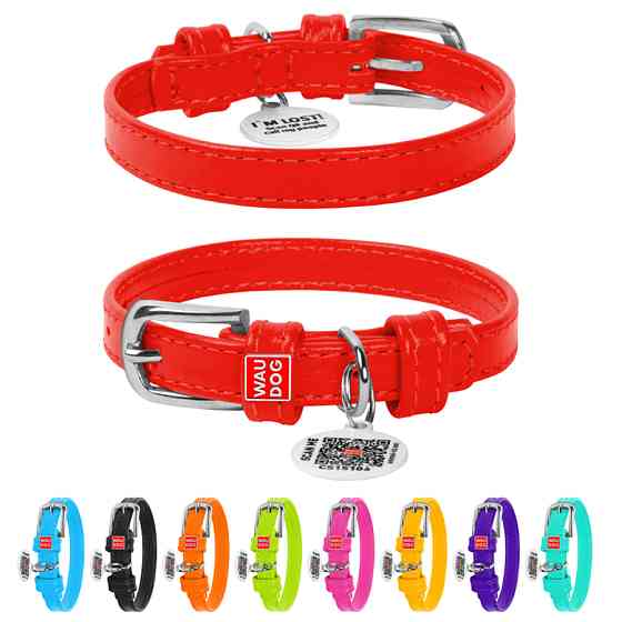 Нашийник для собак шкіряний WAUDOG Glamour з QR паспортом, без прикрас, XS, Ш 12 мм, Дов 21-29 Коломыя