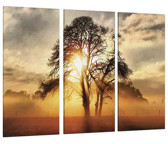Модульная картина Природа Красивое дерево на Рассвете Art-217_XXL 70x130 см Киев