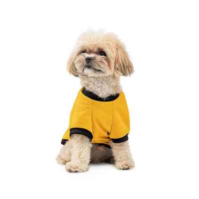 Футболка для животных Pet Fashion Jessica XS2 желтая (4823082441273) Винница