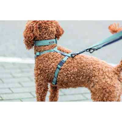 Шлея для собак Trixie CityStyle H-harness Бавовна XS–S 30–44 см 10 мм Світло-зелена (4053032682597) Вінниця