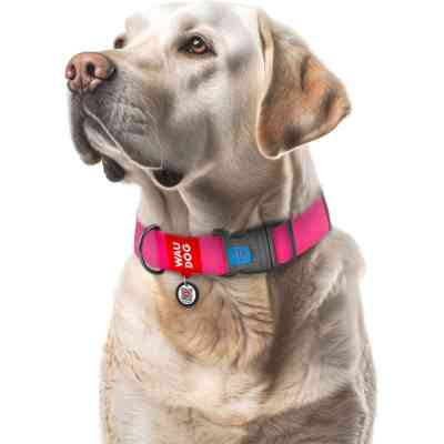 Ошейник для животных WAUDOG Waterproof с QR паспортом пластиковый фастекс XXL розовый (25117) Винница
