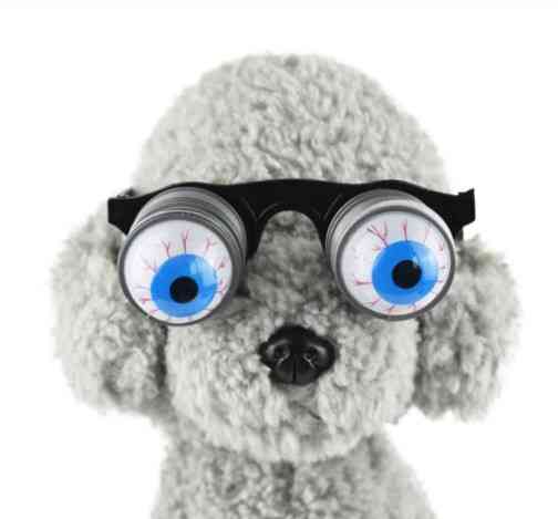 Очки на Хэллоуин на пружине one size разноцветный Киев