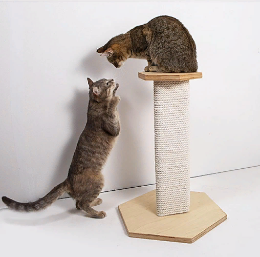 Когтеточка "Санмарино" бланже Миколаїв - фото 1