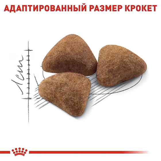 Роуал Canin Indoor 27 (Рояв Канін Індор 27) сухий корм для дорослих котів віком від 12 місяців до 7 років 2 кг. Запоріжжя