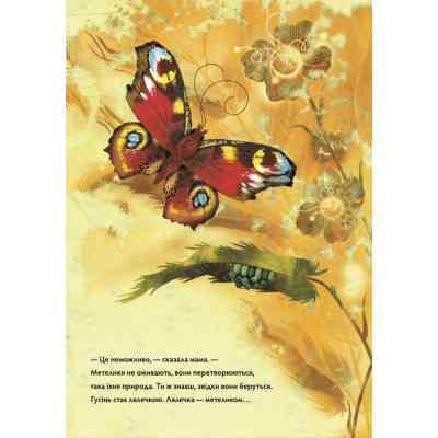 Книга Метелики перетворюються - Галина Вдовиченко Видавництво Старого Лева (9789664481349) Вінниця