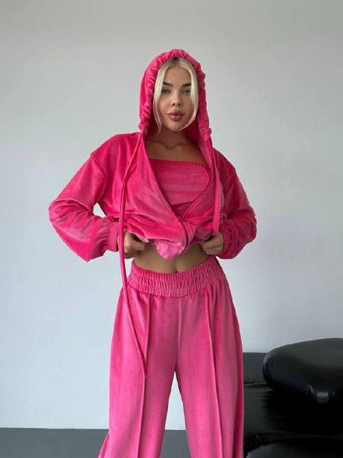 Женский прогулочный плюшевый костюм тройка: кофта топ и штаны велюр-плюш Малина, 46/48 Одесса - изображение 3