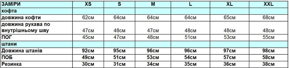 Жіночий спортивний велюровий костюм Графітовий S Харків - фото 2