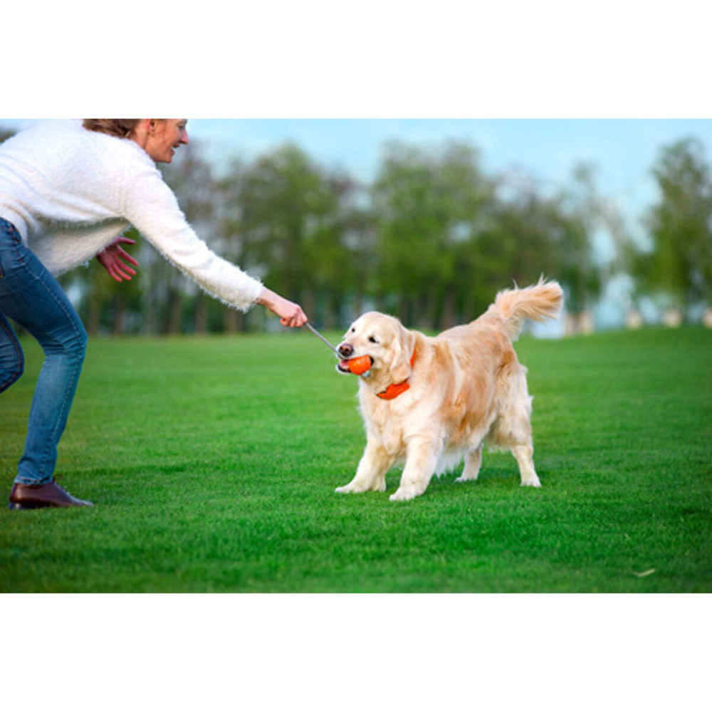 Мячик ЛАЙКЕР Корд на шнуре (диаметр 7см) Киев - изображение 4