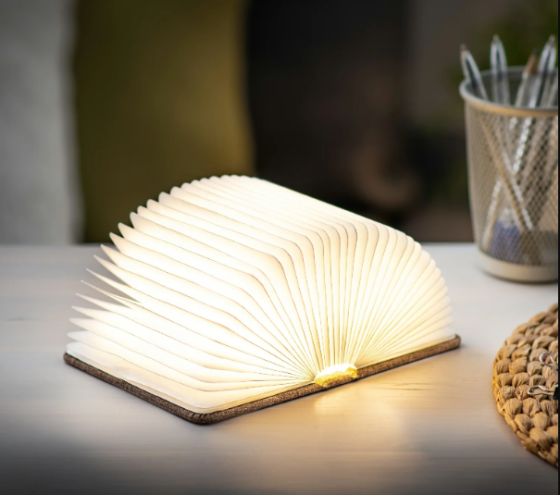 Світильник-книга на акумуляторі MINI URBAN Gingko (Англія), коричнева Рівне