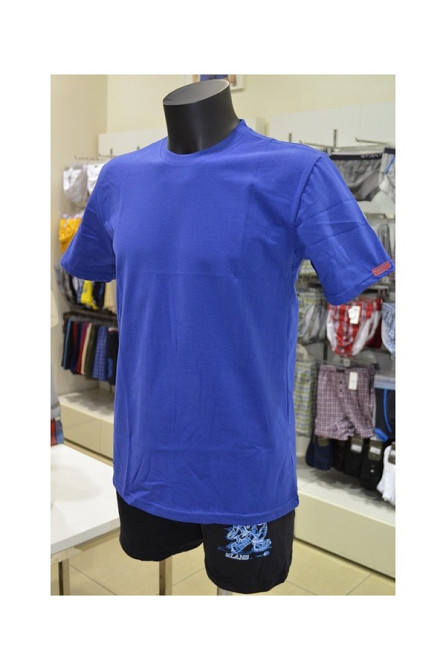 Футболка чоловіча Lans 12/001 3XL, Синій Київ - фото 2