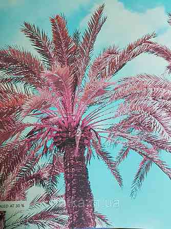 Шпалери флізелінові еко Decoprint Good Vibes 180х280 панно мурал пальми небо хмари Київ